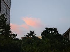 -上海瑞金洲际酒店