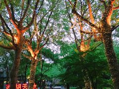 -西湖天地