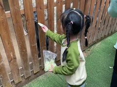-呀路古热带植物园