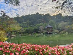 -云溪植物园