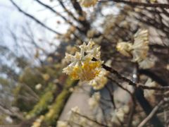 -合肥融创永乐半山酒店·永乐半山西餐厅