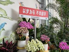-郑州植物园