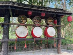 -合肥滨湖国家森林公园