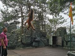 -石燕湖生态旅游景区