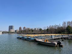 -大宁公园