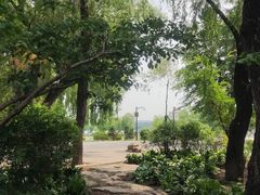 -长春市南湖公园