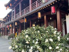 -香积寺