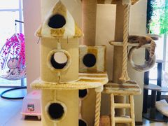 -藏猫猫咖啡主题馆(中央大道店)