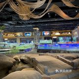 人生建议！！吃完这顿再离开岳阳