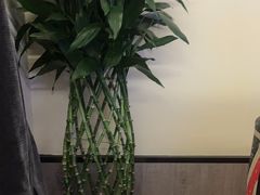 -网鱼网咖(浦东长岛路店)