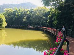 -月亮湾公园