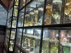 -广东中医药博物馆