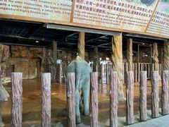 -长鹿旅游休博园