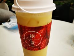 -树夏(鹭洲里店)