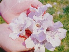 -红星桥(地铁站)