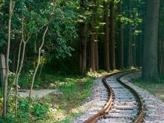 -日照海滨国家森林公园