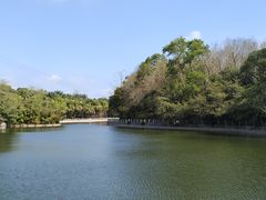 -广东茂名森林公园