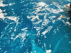 -湖泉半山温泉(湖泉生态园)