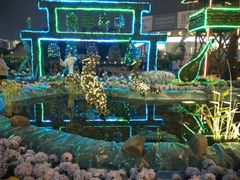 android_upload_pic-西北湖绿化广场