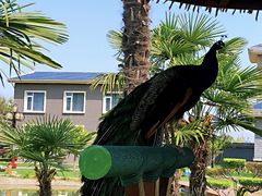 -瑞博尔花园酒店(太周创新产业园店)