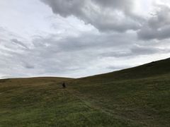 -郭莽湿地