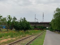 -永定河休闲森林公园