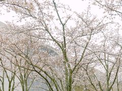 -龙美术馆(西岸馆)