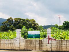 景观位-深圳柯记餐厅(大望店)