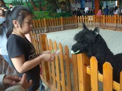 -华夏文旅海洋公园