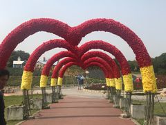 -松山湖梦幻百花洲