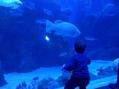 -成都浩海立方海洋公园