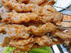 小肉串-杨姐大片肉烧烤