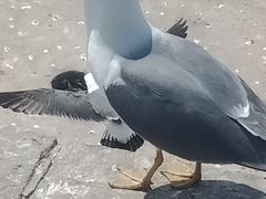 -星海广场