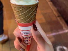 -富豪雪糕车流动点(尖沙咀店)