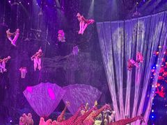 -广州长隆国际大马戏