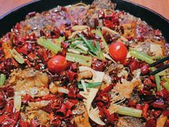 -老板恋上鱼(恒隆广场店)