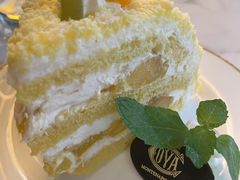 -COVA(新天地Xintiandi店)