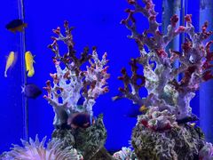 -海合安武汉极地海洋公园