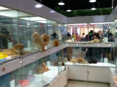 -乐宠宠物店(世纪金源店)