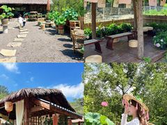 -沂蒙山旅游区云蒙景区(蒙山国家森林公园)