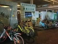 -上海旅游集散中心(万体站)