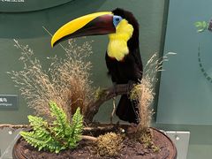 -国家自然博物馆