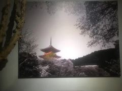 -橼舍鮨青木