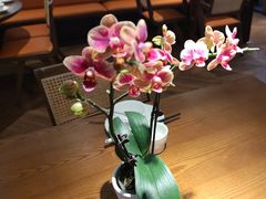 -小户人家(循礼门南国中心店)