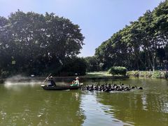 -广州长隆飞鸟乐园
