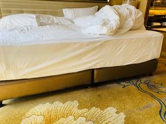 -长沙富力万达文华酒店