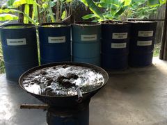 -大象粑粑造纸公园