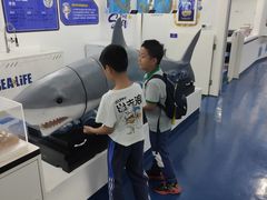 -沈阳海洋探索中心