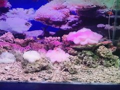 -泉州海丝野生动物世界