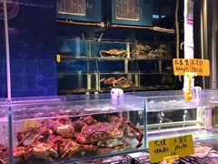 -日进一片海.生腌海鲜火锅.宵夜烧烤(三里屯总店)